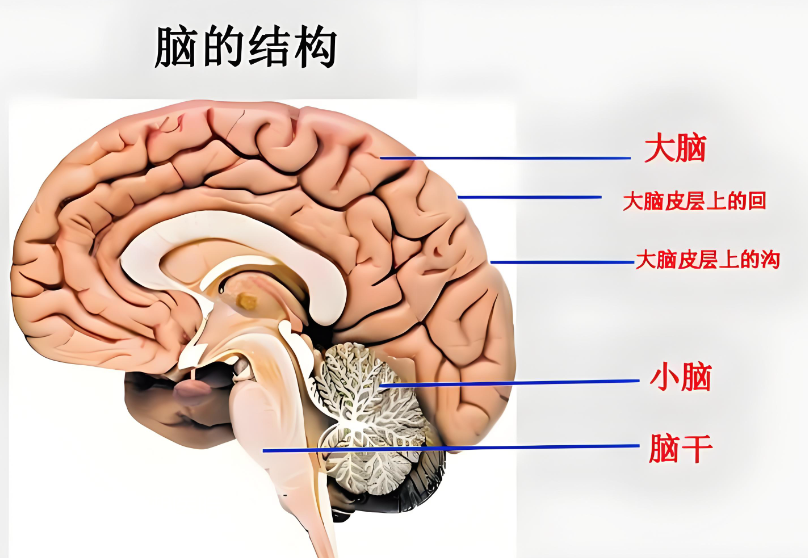 1761632401446374.png 1aeeea2f1e303c3bc48317d4ca71391.png